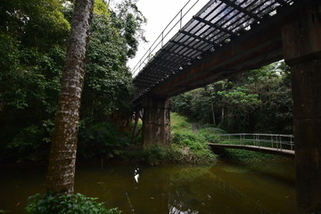 ケアンズの自然