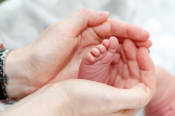 Newborns. Children's legs in the palm of your hand. Close-up.	