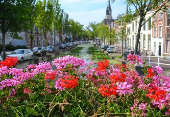 DELFT, THE NETHERLANDS:  Beautiful urban landscape with flowers on a bridge over a canal. Focus on flowers.