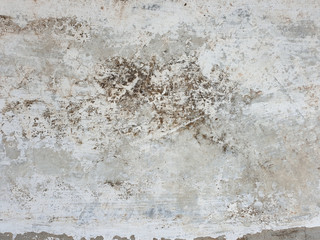 Background texture white and gray vintage cement wall