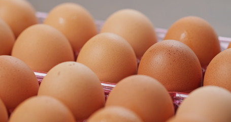Pack of the chicken egg