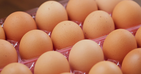 Pack of the chicken egg