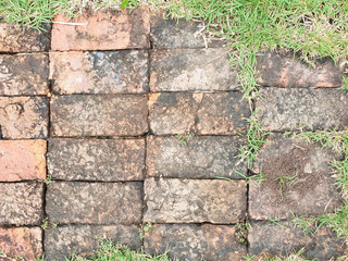 Brown brick texture and background With decorative green grass and copy space