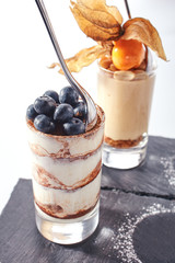 Two Classic Desserts with Cheesecake and Tiramisu Isolated