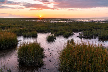 Sonnenuntergang an der Nordsee im Watt