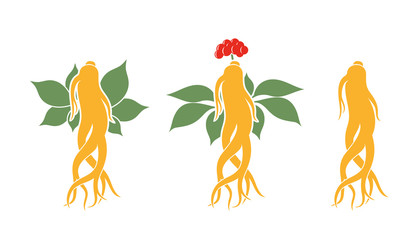 Ginseng logo. Isolated ginseng on white background