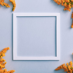 Solidago flower on pastel background with white square frame