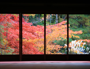Backyard of Kyoto in autumn