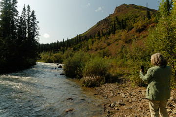 Lady taking pictures along Igloo Creek;  Alaska