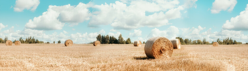 Harvested field with straw bales. Agriculture background with copy space. Summer and autumn harvest concept. Banner © jchizhe