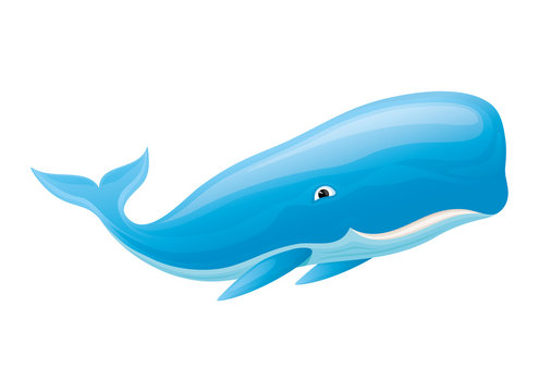 Cute whale smiling on a white background.