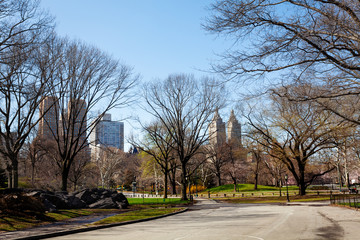 NY central park path walks in April morning
