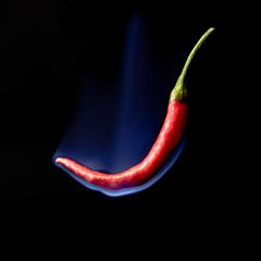 flaming hot chili pepper with fire