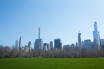 Fototapeta na wymiar Lawn of spring New York panorama view over grass