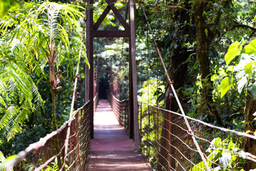Suspended bridge crossing a lush tropical rainforest. Shallow depth of field. Monteverde foresta nebulosa, Santa Elena, Costa Rica. Ecotourism and adventure concept.