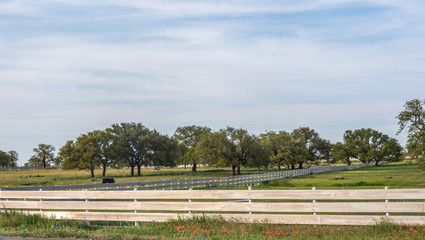 Rural Texas