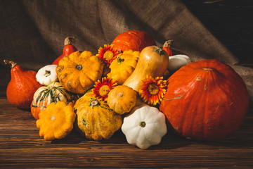 fresh picked gourds on wooden surface 