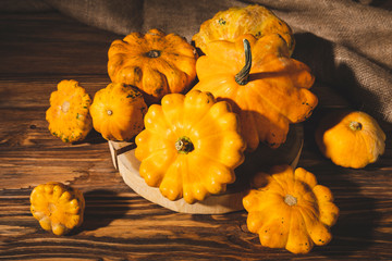 fresh picked gourds on wooden surface 