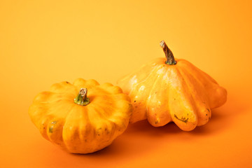 fresh gourds on bright yellow background