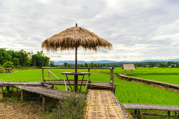 Vintage Small house and rice terraces field and Mountain,Nan,Northern of Thailand
