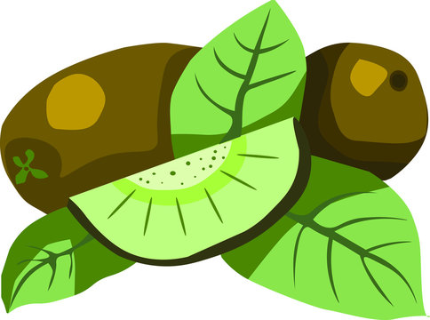 Green kiwi art vector design 