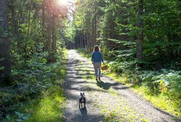 Girl with dog looking for swamp in forest
