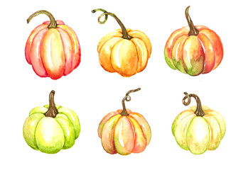 Pumpkins watercolor set for Thanksgiving cards on white background. Yellow, red, green autumn colors pumpkins