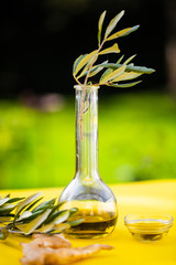 Olivenöl mit  Olivenzweig