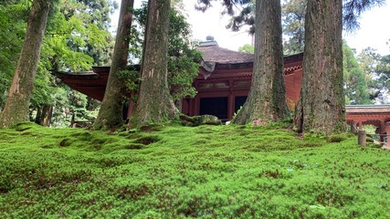 old house in the forest
