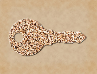 Cumin seeds (Cuminum), Jeera is the key to good nutrition and good digestion. Consult a doctor