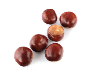 chestnuts on a white background