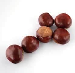 chestnuts on a white background