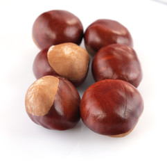chestnuts on a white background