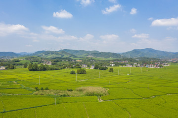 Fototapeta premium village with mountain