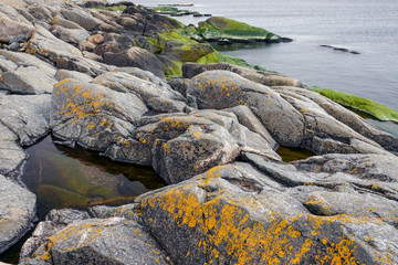 spring cliff by the sea