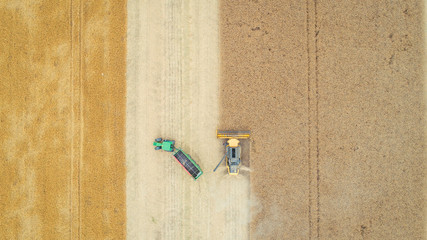 view from the plane to harvest the grain on the field