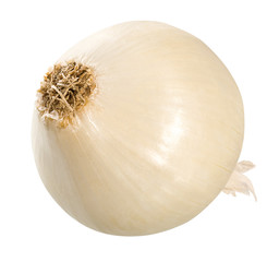 Zwiebel