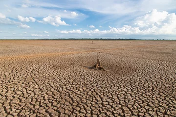 Fotobehang Drought of water sources. The impact of rain does not fall seasonally. Reservoir condition for drought consumption.  © cofficevit