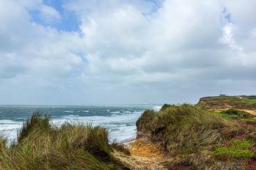 A view of a bay from a hill during a major storm with huge wave, choppy sea and foam with green vegetation on the foreground under a grey sky