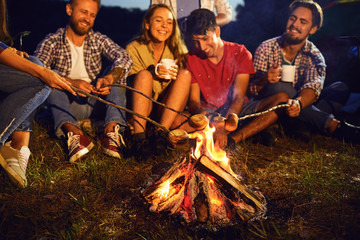 Fototapeta na wymiar Campfire travel picnic camping trip concept.