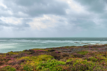 A view of colorful wild vegetation on the top of a hill along the coastline with choppy sea under a grey sky