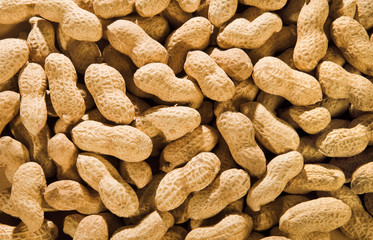 Erdnüsse