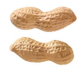 Erdnuss