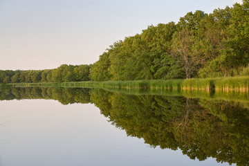 symmetrical reflection trees, grass, sky in pond