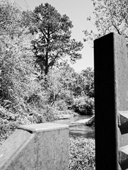 Steel Bridge Posts Overlooking a Creek B&W