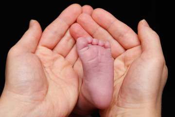 Newborn baby's feet in father's hand