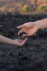 Male and child hand holding ash after fire in the forest ecological concept