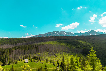 Panorama of beautiful countryside. sunny afternoon. Grassy field and rolling hills. rural scenery