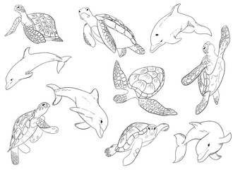Illustration vector set of swimming dolphins and turtle with isolated on background
