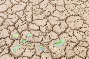 Drought of water sources. The impact of rain does not fall seasonally. Reservoir condition for drought consumption.	